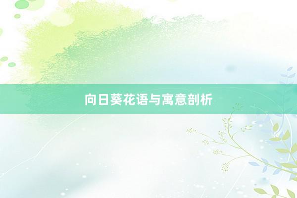 向日葵花语与寓意剖析