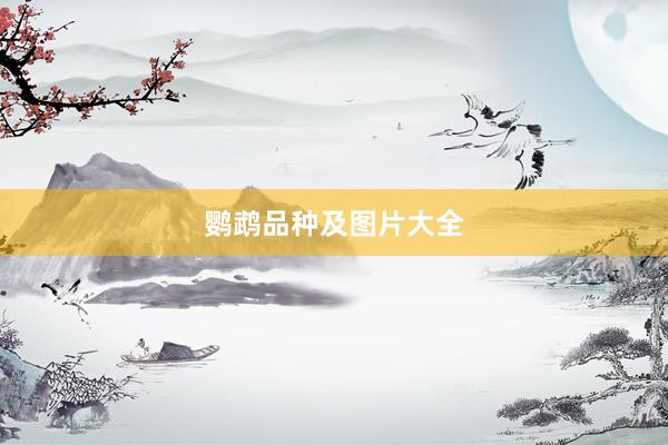 鹦鹉品种及图片大全